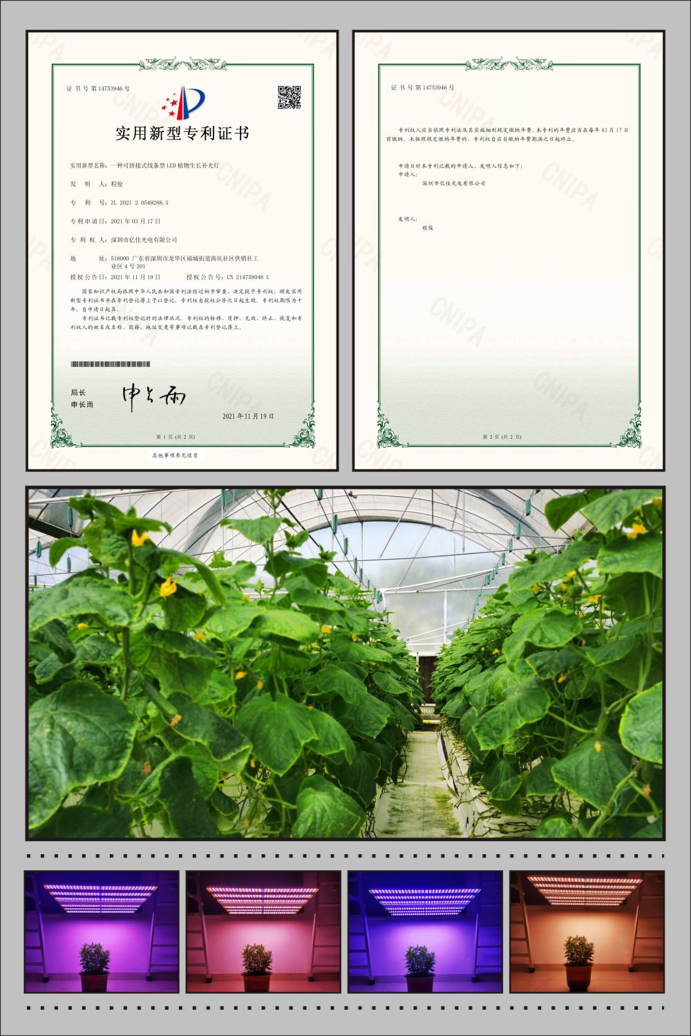 沙巴电竞植物农场灯实用新型专利